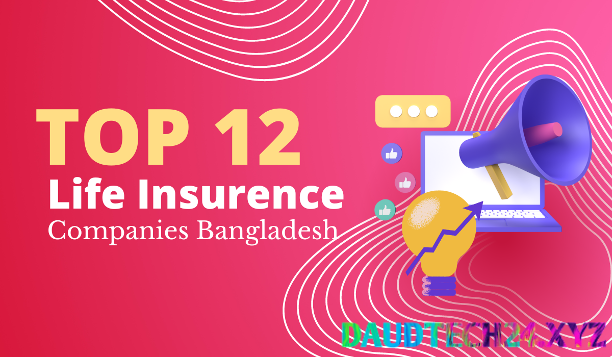 Top 12 Best Insurance